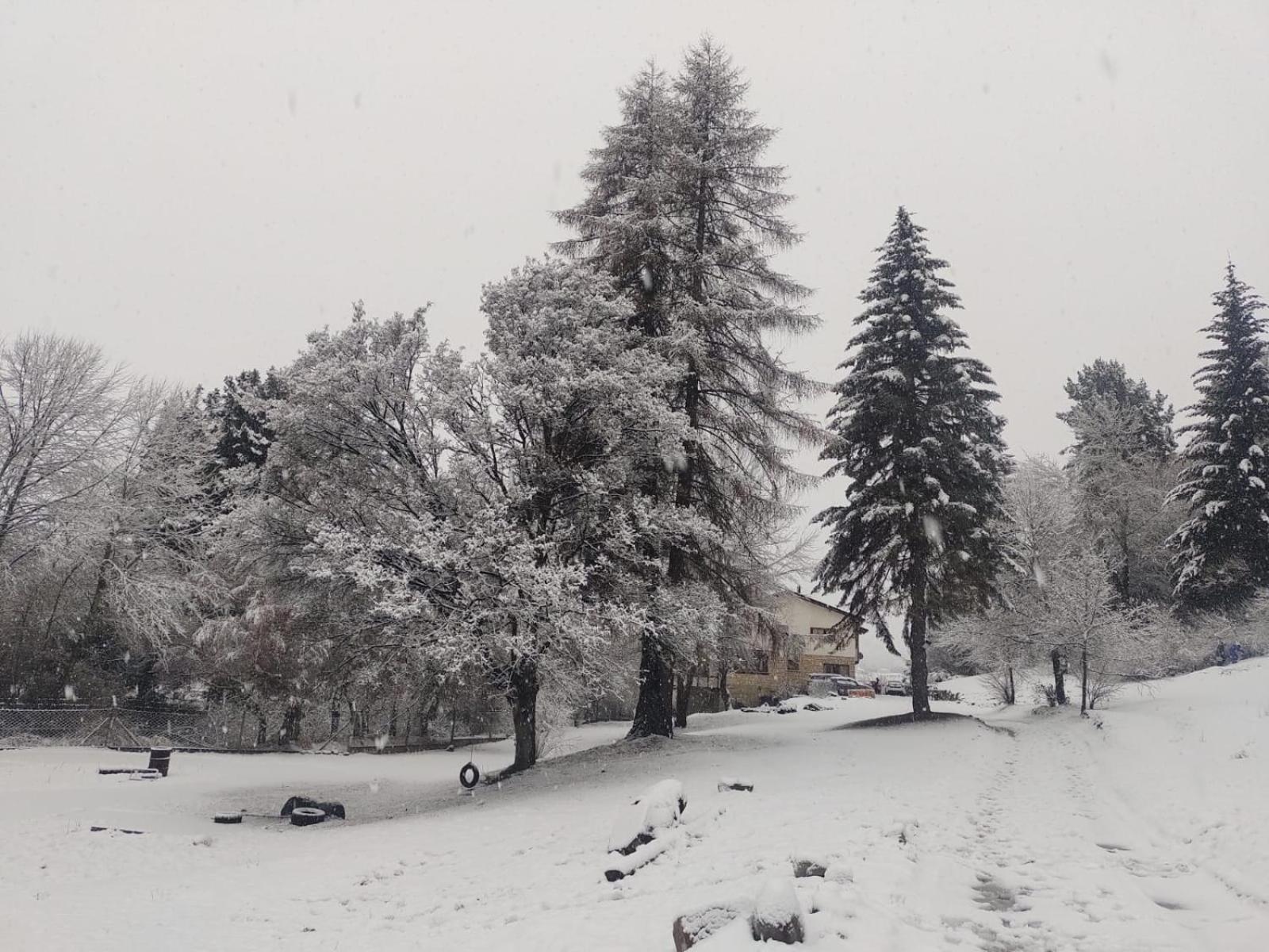 Posada Del Nireco San Carlos de Bariloche Exterior photo
